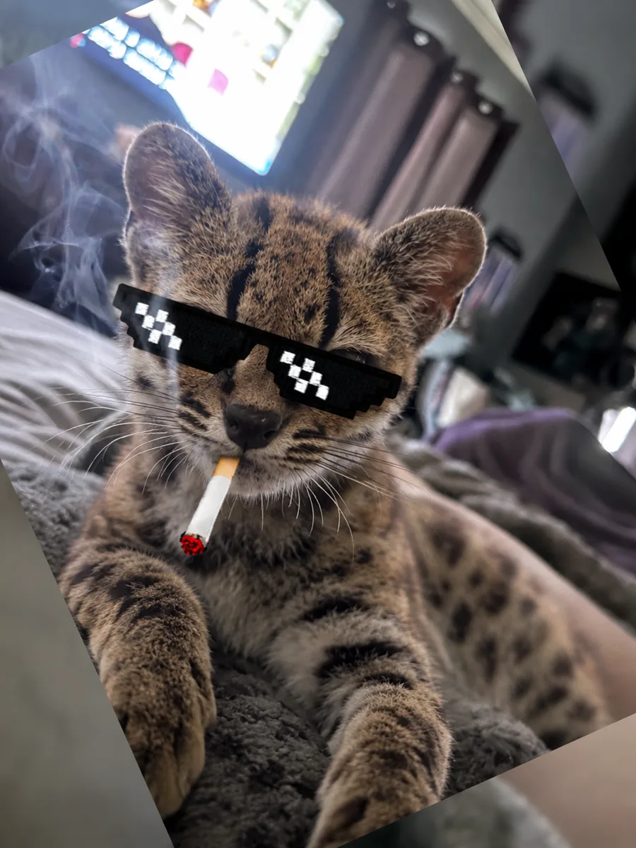 Thug life
