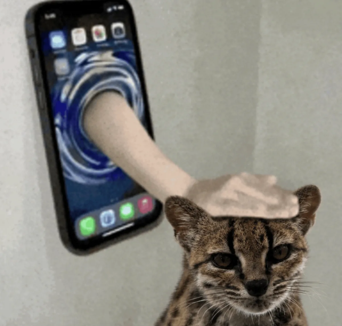Pet him through the screen